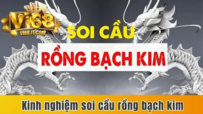 Rồng Bạch Kim Là Gì Và Cách Soi Cầu Rồng Bạch Kim Chi Tiết 4 List 5 Phương Pháp Soi Cầu Tại Rồng Bạch Kim Mang Hiệu Quả Tối Ưu